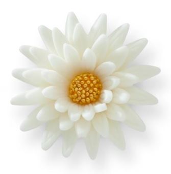 Picture of WHITE MARGERITA 6CM EDIBLE HAND MADE